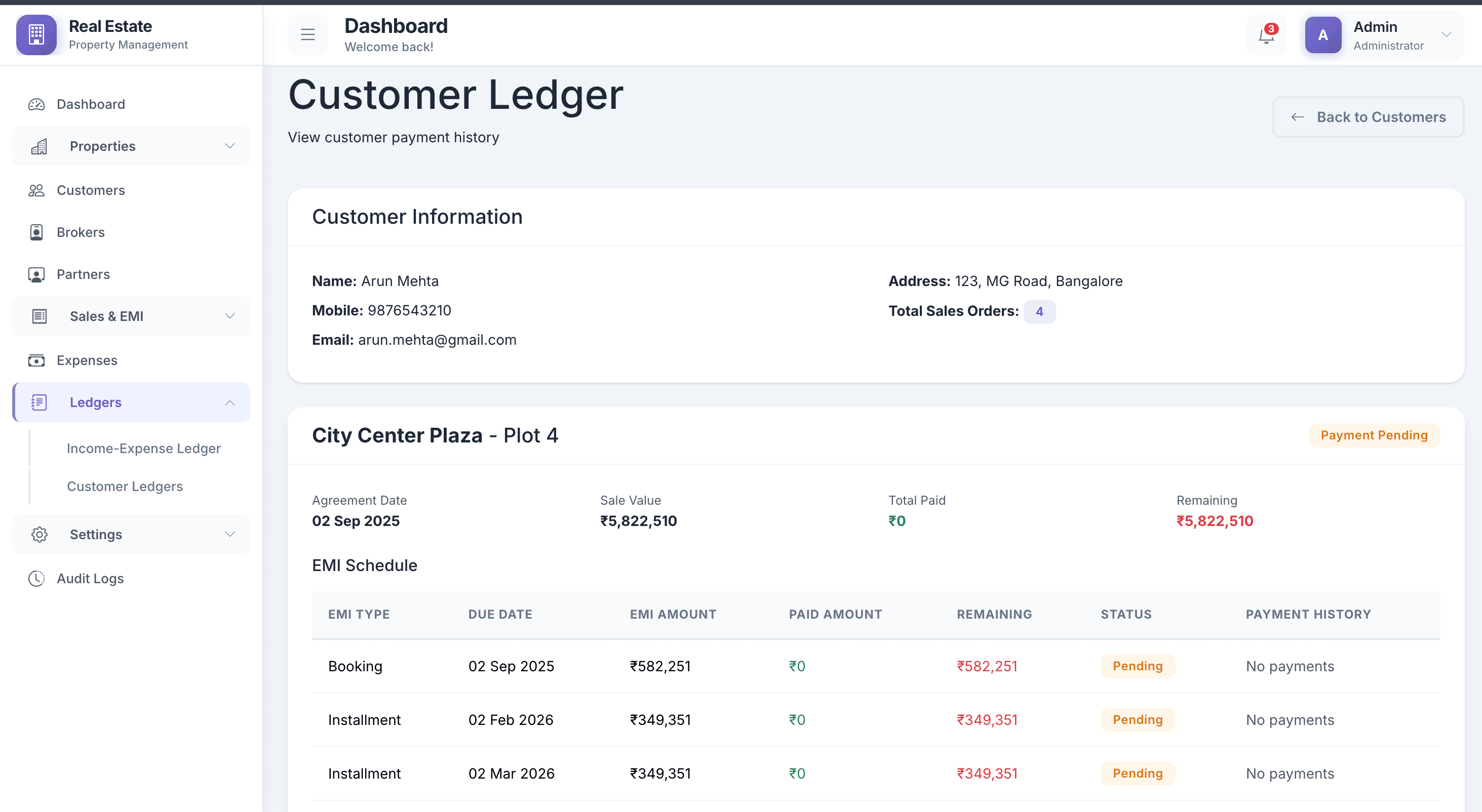 Professional Financial Statements — view 2